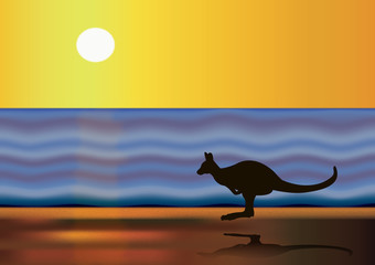Canguro en la playa
