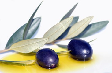 Olive nell'olio con ramoscello