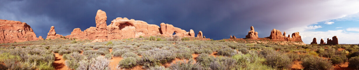 Desert after the Storm panorama