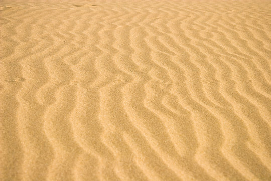 Moroccan Desert