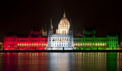 Fototapeta na wymiar The hungarian parliament in Budapest