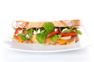 tasty lamb sandwich
