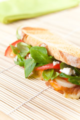 tasty lamb sandwich
