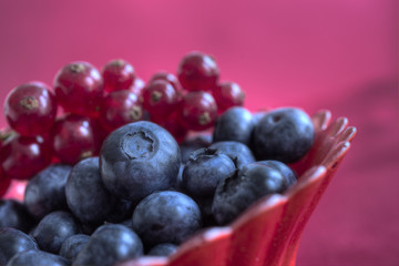 Heidelbeeren_564_5_6