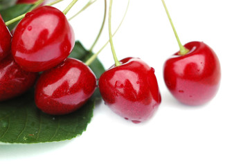 Cherries 6