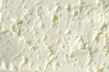 Fototapeta na wymiar White cheese