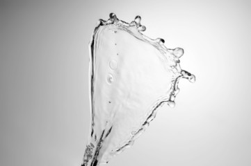 beautiful  water splash freeze