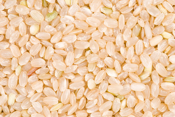 brown rice as background