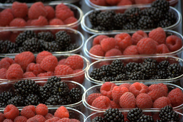 cestini di frutti di bosco