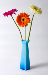 Obraz premium Bunch of beautiful spring flowers.