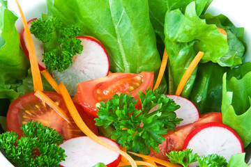 Salat mit Radieschen, Tomate und Petersilie
