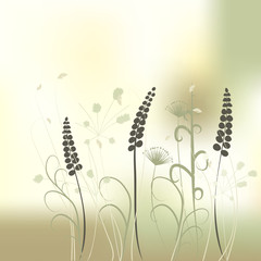 floral background, meadow