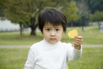 黄色い葉を見せる男の子