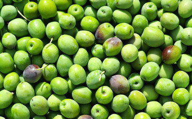 Closeup of green olives.