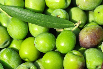 Fototapeta na wymiar Closeup of green olives.