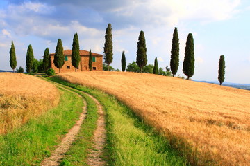 Weg,  Zypressen, Haus, Wolkenhimmel, Toskana, Italien