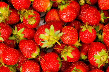 Fruit concept - red strawberries arranged as background