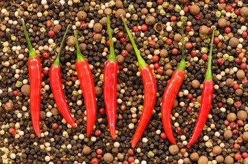 Red peppers on pepper background