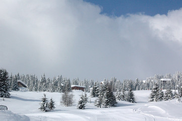 paysage hiver9