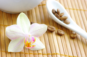 coffee beans with spoon and orchid flower
