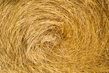 hay bale