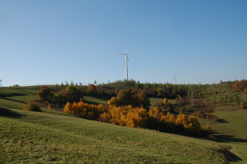 pala eolica e natura