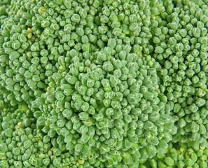 Fresh broccoli as background close-up
