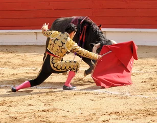 Photo sur Plexiglas Tauromachie Matador à genoux
