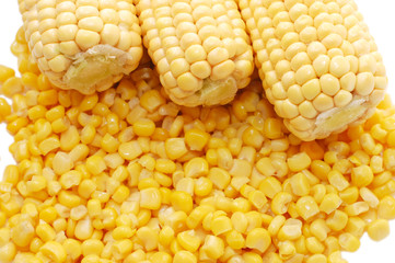 Ear of fresh corn and tinned corn