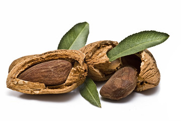 Almendras cachadas y hojas de almendro.