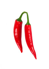 Red hot chili peppers isolated
