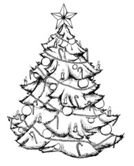 Weihnachtsbaum, Christbaum, Weihnachten, Heiligabend