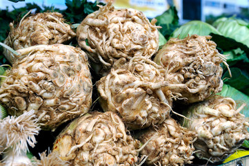 celery - vegetable market