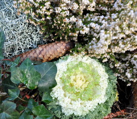 arrangement pour la toussaint