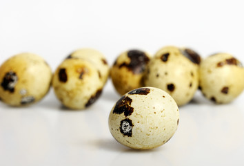 many quail eggs with shadows