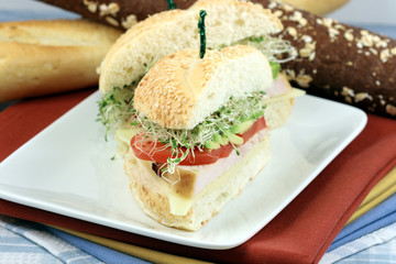 sandwich  with oven roasted turkey