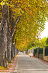 Naklejka premium Park in the city