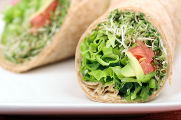 sandwich wrap organic style
