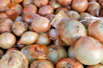 heap of raw unpeeled onions for sale at the vegetable market