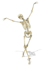 A Skeleton takes a Graceful Pose