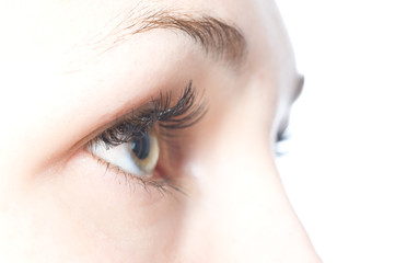 Obraz premium female eye