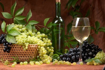 Fototapeta na wymiar White dry wine, fresh clusters of a grapes