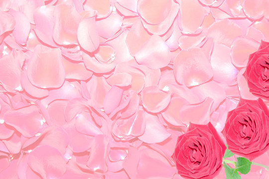 Background from petals of red roses.