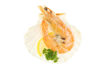 Crevette in shell