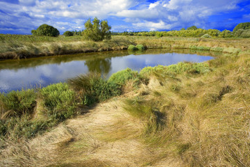 france,charente maritime,oléron : marais des bris