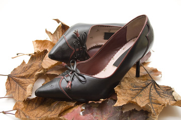 Schuhe auf Blätter