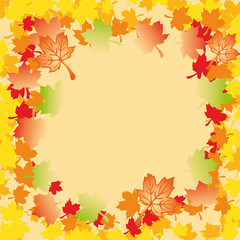 Naklejka na ściany i meble Mapple Autumn Leaves