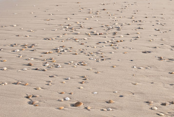Sand with stones