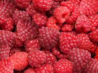 Raspberry  abstract background