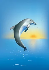 Raamstickers Dolfijn © jekyma